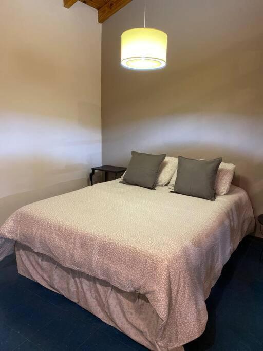 Loft Quinta Seccion